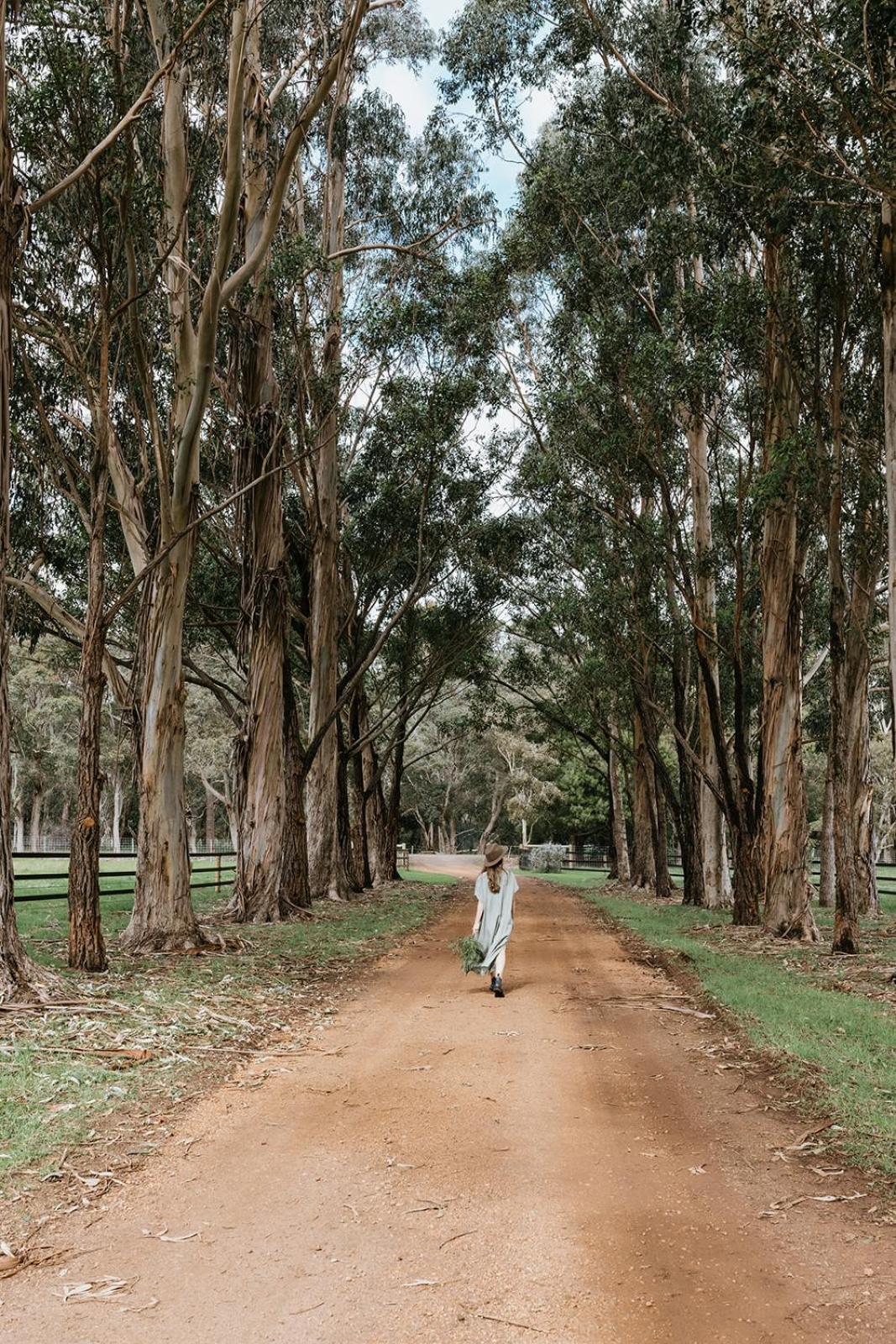 Chambre Estate Margaret River Esterno foto